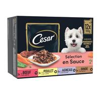 générique Cesar - Pâtée Savoureuse en Sauce pour Chien Adulte, Bouchées Gourmandes au Bœuf, Poulet, Agneau & Dinde (12 Sachets Fraîcheur) - Le Lot de 3