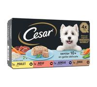 générique Cesar - Pâtée Sénior en Gelée aux Saveurs Poulet, Bœuf, Agneau et Dinde, Tendresse et Nutrition (4 barquettes) - Lot de 3 - Vendu par Lot