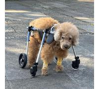 Générique Chaise roulante pour chien avec pattes arrières invalides, chaise roulante pour chien avec pattes avant et arrière, chariot ajustable pour animaux de compagnie, support de pattes,S