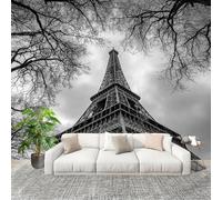 Générique Chambre salon Papier Peint Photo 200x140 cm Spectaculaire De La Tour De Fer Personnalisé 3D HD Panoramique Papier Peint Noir Et Blanc Résistant Aux UV Inodore Lmperméable Fresque Murale