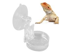 Générique Chameleon Food Bowl - Reptile Feeder with Suction Cup, Habitat Water Tray for Lizards Spiders Tree Frogs Small Gecko Feeding Dish for Chameleons & Other Reptiles