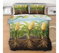 Générique Champ de Blé Housse de Couette 220x240 - Maïs Rural Parure de Lit en Microfibre Réversible, Récolte d'automne Parure de lit 3 pièces avec 2 Taies d'oreiller 65x65cm