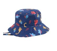 Générique Chapeau Bob Dinosaure pour Tout-Petits, Large Bord et Imprimé Dessin Animé, pour Garçons et Filles, pour Jeux en Plein Air et Protection Solaire