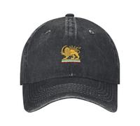 Générique Chapeau Drapeau iranien avec Lion et Soleil, Drapeau Persan du Vieux Iran, Casquette de Camionneur Lion et Soleil pour Hommes et Femmes, réglable et Respirant