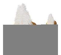 Générique Chapeau Prince - Enveloppement de la tête des hommes du sultan | Adulte Turban Avec Plume Et Perle Brillante Conception De Paillettes Pour Le Jeu De Rôle
