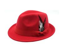 Générique Chapeau Tyrolien,Chapeau Oktoberfest Bavarois avec Plumes, Fedora,Aspect Feutre,Chapeaux Traditionnel, fête de la bière, fête Populaire, Kermesse, Multicolore, Taille Unique