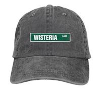 Générique Chapeaux d’Hiver Casques de Noël Wisteria Lane Desperate Housewives Mode Outdoor Un Cadeau de Casquette de Baseball