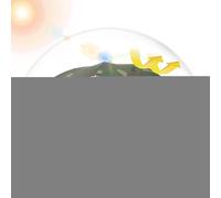 Générique Chapeaux Parapluie pour les Femmes,Protection Anti-UV Chapeau Parapluie - Imperméable Réglable Léger pour Camping Jardin Plage Randonnée Pêche