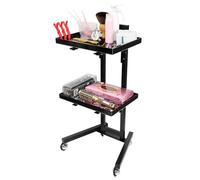 Générique Chariot De Salon,Compact en Acier Inoxydable avec Plateau de Rangement - Table Roulante pour Espaces Restreints - pour Centre de Spa Station Ongles Salle de Formation et Fournitures