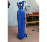 Générique Chariot Portable à roulettes pour Bouteilles de Propane, Support de Bouteille d'oxygène à Pousser-Tirer pour Usage Domestique et Commercial, Chariot Robuste pour Bouteilles d'azote
