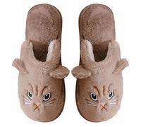 Générique Chaussons Femme Chaud,Pantoufles en Peluche Hiver,Chaussons d'hiver isolants à Bout fermé et Semelle platefemmes (Coffee, 39)