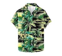 Générique Chemise Hawaïenne Homme Grande Taille Manches Courtes Chemises Fleur Tropical Revers Été Décontractée Chemise Vacances Comfort Regular Casual Shirt Vintage Classique Vêtements