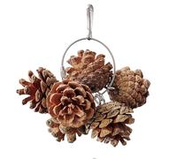 Générique Chew Toy - 100% Natural Pine Cones & Nuts Chewing Fun | Safe Bird Foraging Toy Hanging | Perfect for Small Medium Macaws Parakeets Conures Cockatiels, Relieves Boredom St Age en