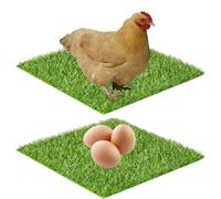 Générique Chicken Nesting Box Pads, Reusable Hens Nest Box Pad 11.81x11.81 inches, Washable Artificial Grass Floor Covering, Ideal for Chicks, Roosting, Farm Lawns, Garden, Backyard
