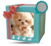 Générique Chien Robot 2025 pour Version améliorée, Mon Chiot Robot réaliste Qui agit comme Un Vrai Chiot - Marche, aboie, remue la Queue,Un Chien Jouet Qui Marche et aboie