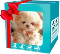 Générique Chien Robot, Mon Chiot robotique réaliste, Jouet interactif pour Chiot robotique, Cadeau électronique pour Animaux de Compagnie pour Enfants Adultes (C)