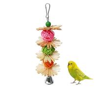 Générique Cockatiel Toy - Bird Chew Toys | Colorant Brillant Et Déchiquetage des Perruches, Petit avec Crochet Métallique, Matériaux Et Enrichis, Seinss Seeins Budgegars Puffilles Autres Oiseaux