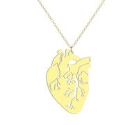 Générique Collier pendentif anatomique en forme de cœur pour femmes, filles, pendentif en forme d’anatomie, chaîne de cou, bijoux de biologie, cadeau