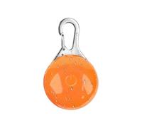 Générique Collier pour Chien - Accessoire LED avec visibilité Lumineuse, Promenade pour Chien pour la sécurité, visibilité des Animaux domestiques avec Un Design Durable, équipement d'extérieu