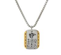 Générique collier pour hommes, pendentif égyptien antique Anubis Horus Plaque d’identité runique pour hommes collier Pharaon Punk Bijoux cadeau