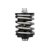 Générique Compatible avec l'amortisseur arrière à Double Ressort Brompton avec axe en Titane, Mise à Niveau de la Suspension de vélo Pliant(Gray Titanium Axle)