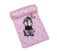 Générique Cooling Dog Bed, Ice Silk Sleeping Pad, Soft Foldable Cushion, Pillow Included Mat, Breathable Summer Blanket, Ideal for Cats, Kittens, Small Dogs, Puppies, Indoor Naps, Travel Use