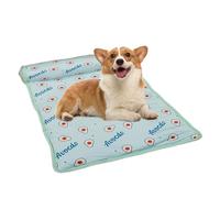 Générique Cooling Dog Bed, Ice Silk Soft Washable Cat Cooling Mat, Cute Sleeping Pad with Pillow, Kitten Pad Cushion, Puppy Blanket for Cats & Dogs, Breathable, Indoor/Outdoor Use