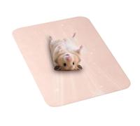 Générique Cooling Mat for Dogs - Aluminum Plate 30x20x1cm | Summer Reusable Portable Bed Pad | Chilly Ice Sheet for Cage Crate Nest Hamster Hedgehog Squirrel Small Animals Bunny Puppy Guinea Pig