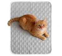Générique Cooling Mat - Sweat Absorbent Sleeping Rug - 45x35cm Soft Cats Cooling Mat,for Small Medium Large Dog Kitten Crate Kennel Floor Sofa Home Travel