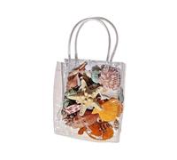 Générique Coquillages Minuscules Étoiles de Mer pour Bougies en Vrac | Coquillages Plage Pour Débutant Adulte Enfant Prof D'Art Déco Table Bijoux Gâteau Aquarium