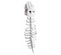 Générique Costume De Dinosaure En Peluche Spinosaurus, Ensemble De Costumes Réalistes De Squelettes De Dinosaures Pour Halloween, Jouet Amusant En Forme De Dinosaure, Jouet 3D Amusant (L)