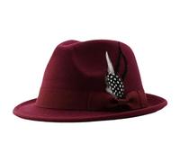 Générique Costume Enfant pour Hommes et Femmes, Chapeau Panama à Larges Bords. Bonnet Vert Et Rouge (Wine, One Size)