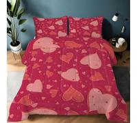 Générique Couette 135x200 Cœurs Style Romantique Ensemble de Literie en Microfibre, 1 Edredon et 2 Taies d'oreiller 65x65, 4 Saisons B776