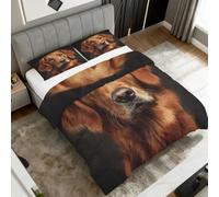 Générique Couette 140x200 Imprimée Chiot, Decoration Chambre, Cadeau, Edredon Reversible Golden Retriever Chien pour 1 Personne, 1 Taies d'oreiller, 4 Saisons, Weich - SW792