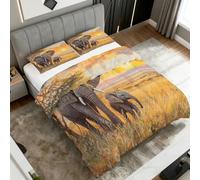 Générique Couette 200x200 4 Saisons Motif Éléphant, 2 Personnes - Edredon Réversible Imprimée Savane Afrique avec 2 Taies d'oreiller pour Decoration Chambre, Cadeau BC796