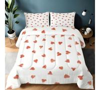 Générique Couette 200x200 Cœurs Rouges Aquarelle Style Romantique Ensemble de Literie en Microfibre, 1 Edredon et 2 Taies d'oreiller 65x65, 4 Saisons B1876