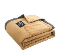 Générique Couette Été, Couette Legere Douceur Et Confor,Lavable Cooling Couette D'Été Respirante Lavable 100 * 140cm,140 * 200cm,170 * 200cm Couettes Légère D'Été Soft Comfort Parures De Lit