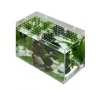 Générique Couvercle Aquarium Clair, Polycarbonate 1 mm, Fenêtre d’Alimentation DIY(35x21cm)
