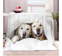 Générique Couverture Polaire 100x130 cm Animaux Labrador Courtepointe Moelleuse Couverture Polaire Flanelle, Jeté de Canapé Couverture Chaude et Douce en Peluche Plaid Polaire