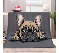 Générique Couverture Polaire 130x150 cm Bouledogue Français De Dessin Animé Couverture Plaid pour Lits, Canapés, Chaises et Divans, Couverture Sherpa Chaude Douce, pour Toutes Les Saisons