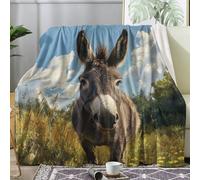 Générique Couverture Polaire 150x200 âne, Plaid Ferme Animaux, Couverture Lit 1 Personne, Jeté de Canapé Flanelle Doux, Decoration & Cadeau QZ94
