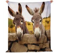 Générique Couverture Polaire en Flanelle 220x240 cm - Imprimé Ferme Âne Hiver Chaude Douce Moelleuse Jeté de Canapé, Brun Microfibre Couverture de Lit Convient Adulte et Enfant
