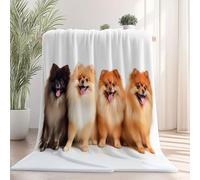 Générique Couverture Polaire en Flanelle 70x100 cm - Imprimé Animal Loulou De Poméranie Hiver Chaude Douce Moelleuse Jeté de Canapé, Blanc Microfibre Couverture de Lit Convient Adulte et Enfant