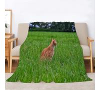 Générique Couverture Polaire Flanelle Chat Orange Plaid 3D Impression Grassland Couverture Douce Et Chaude, pour Canapé Lit Sofa Chambre Jeté, Plaid Anti-Pilling Hypoallergénique - 50x60inch·A4827