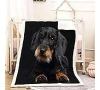 Générique Couverture Polaire Flanelle Teckel Plaid 3D Impression Animaux Couverture Douce Et Chaude, pour Canapé Lit Sofa Chambre Jeté, Plaid Anti-Pilling Hypoallergénique - 50x60inch