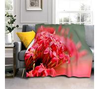 Générique Couverture Polaire Tulipe, Fleurs Rouges Imprimée Motif Couverture Lit en Flanelle 2 Personnes Plaid Polaire pour Adultes, 180x200 Microfibre Douce et Chaude AL2129