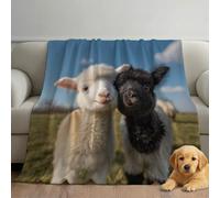 Générique Couverture Polaire Ultra-Douce à Illustration Mignon Prairie Mouton, Chaude et Confortable, Blanc Noir 130cm x 150cm, Idéale pour la Chambre, Respirante, Légère et Facile à Entretenir