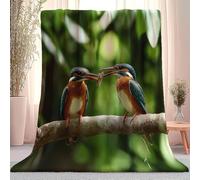Générique Couverture pour Adultes et Enfants150 x 200 cm,Minimalisme Photographie Martin-Pêcheur Flanelle Couverture - Vert Réversible Moelleuse pour canapé châle literie