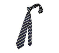 Générique Cravate à rayures avec tissu en polyester, 1 navy blue gold