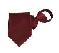 Générique Cravate tissée à fermeture éclair pour hommes accessoire mode élégant et moderne adapté tenues professionnelles ou cérémonies avec design pratique sans nouage (N, One Size)